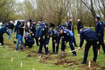 Jandarmii suceveni își celebrează aniversarea prin plantarea a 175 de stejari