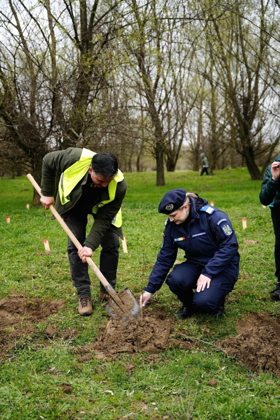 Jandarmii suceveni își celebrează aniversarea prin plantarea a 175 de stejari