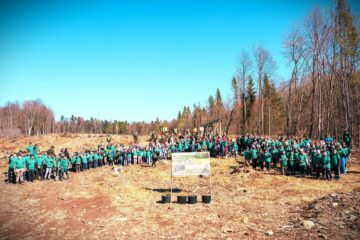 Silvicultorii suceveni și elevii au plantat puieți forestieri de brad, larice, paltin de munte și frasin