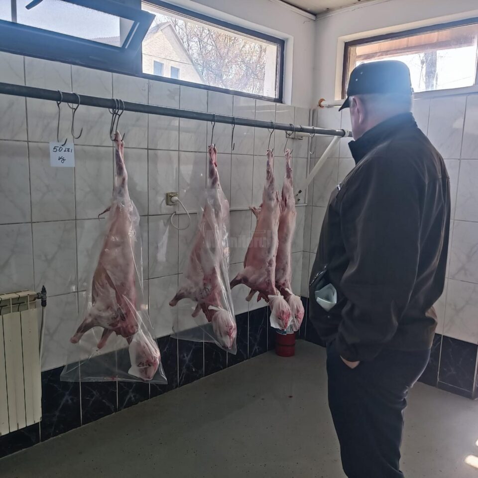 Au apărut la vânzare mieii la piață