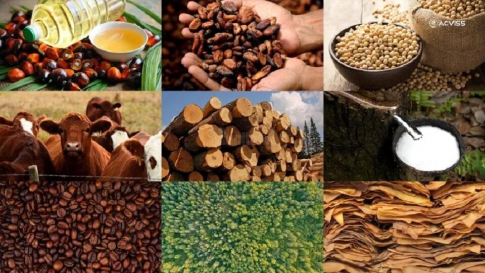 Produsele afectate de masurile EUDR adoptate de UE