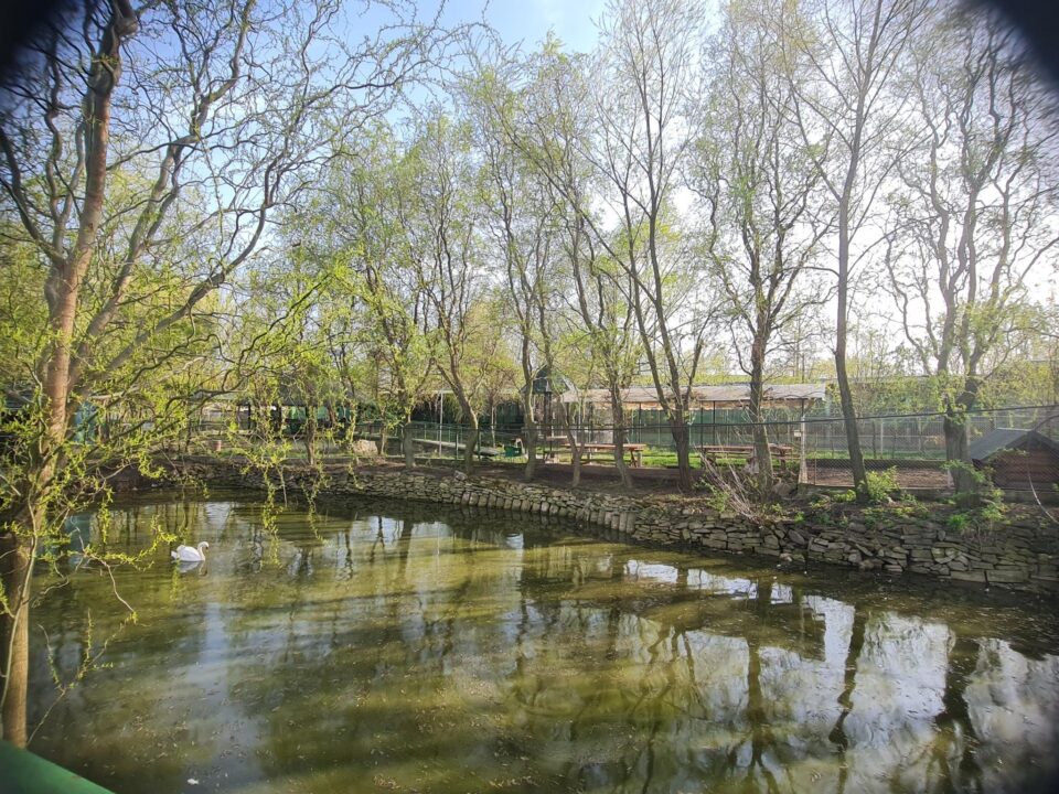 Lacul de la Zoo Șoimaru, unde se poate pescui
