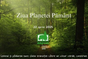 ASFOR: Lemnul și pădurea sunt cheia tranziției către un viitor verde, construit pe baza resurselor naturale gestionate durabil