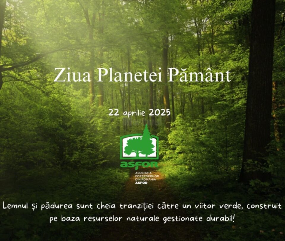 ASFOR: Lemnul și pădurea sunt cheia tranziției către un viitor verde, construit pe baza resurselor naturale gestionate durabil