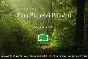 ASFOR: Lemnul și pădurea sunt cheia tranziției către un viitor verde, construit pe baza resurselor naturale gestionate durabil