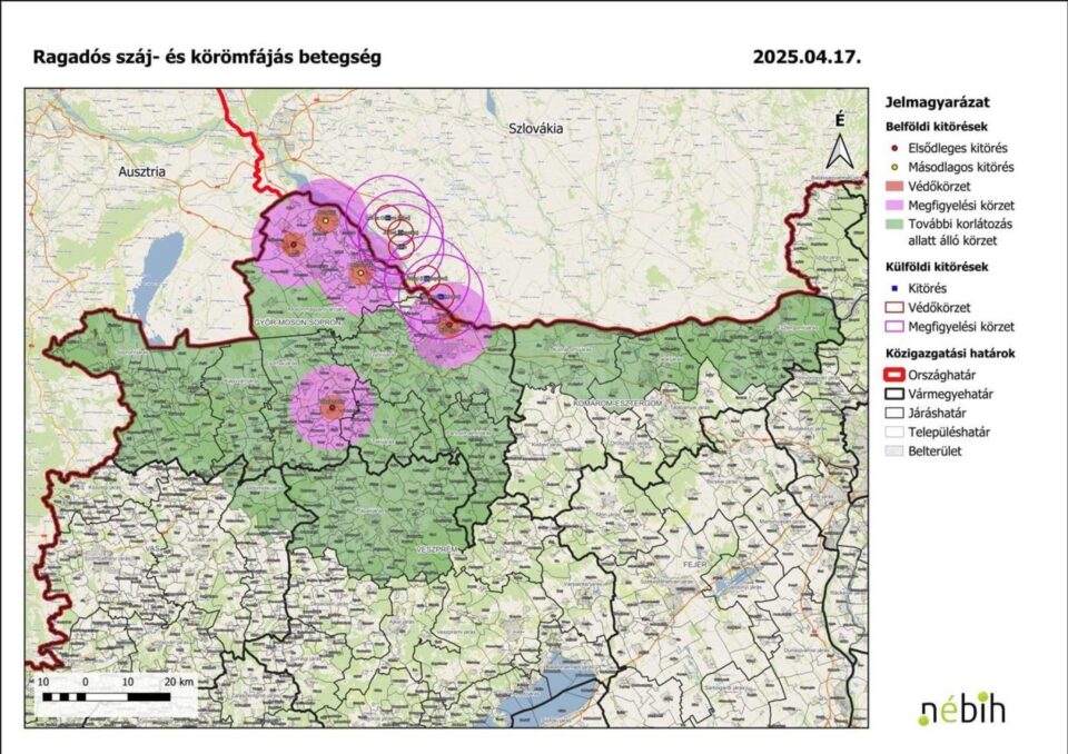 Focare ale febrei aftoase, în Ungaria și Slovacia