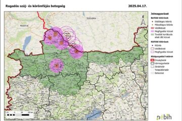 Focare ale febrei aftoase, în Ungaria și Slovacia