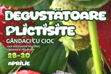 O incursiune în lumea gărgărițelor și a gândacilor cu cioc, la Muzeul de Științele Naturii