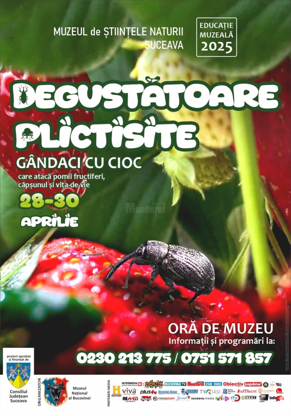 O incursiune în lumea gărgărițelor și a gândacilor cu cioc, la Muzeul de Științele Naturii O incursiune în lumea gărgărițelor și a gândacilor cu cioc, la Muzeul de Științele Naturii