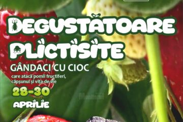 O incursiune în lumea gărgărițelor și a gândacilor cu cioc, la Muzeul de Științele Naturii