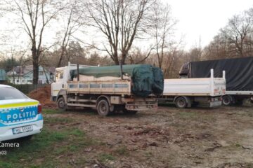 Mașină care transporta material lemnos, indisponibilizată