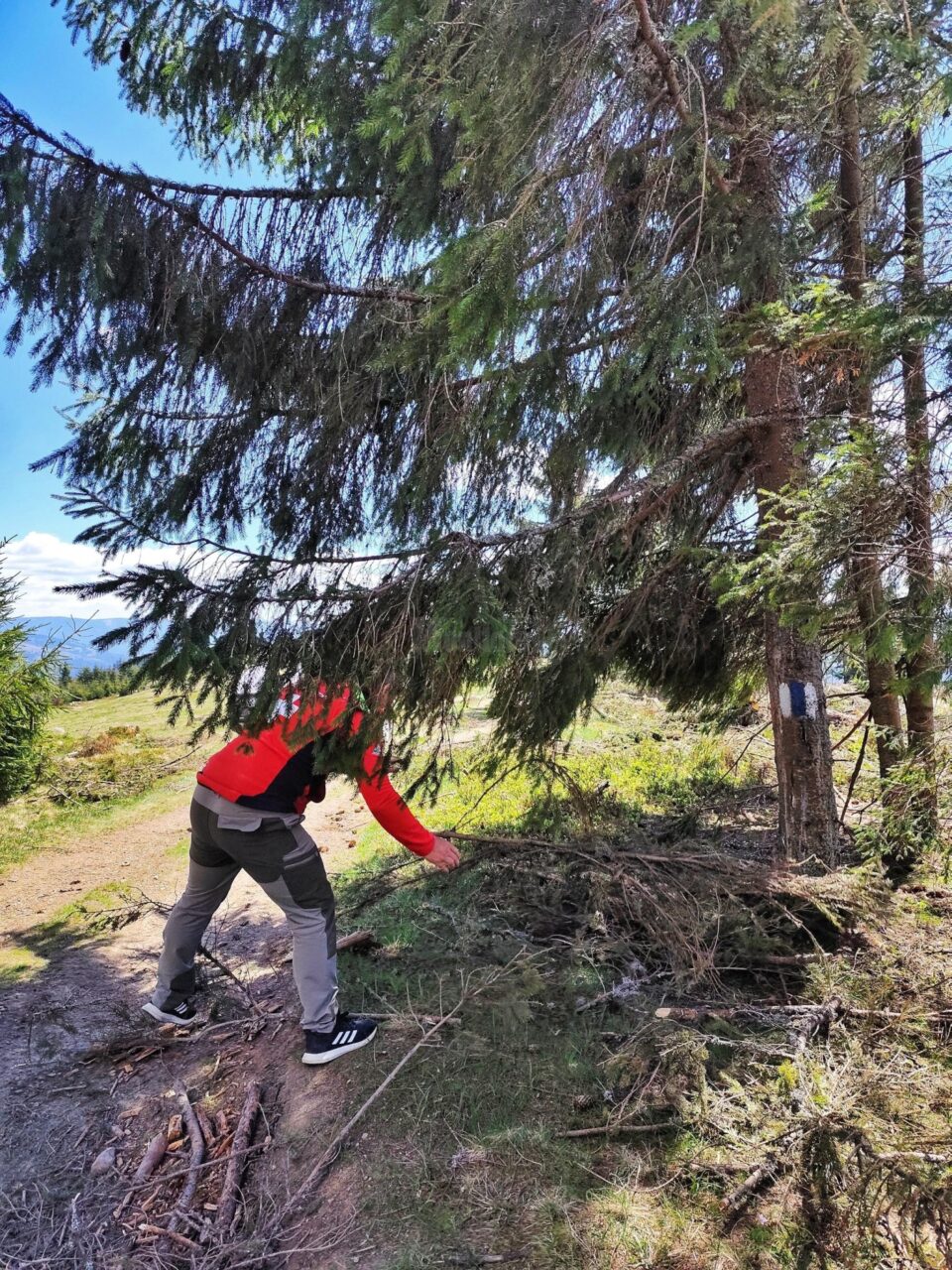 Salvamontistii dorneni au inceput lucrările de întreținere a traseelor montane