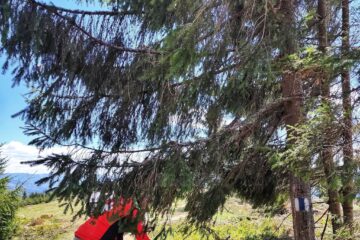 Salvamontistii dorneni au inceput lucrările de întreținere a traseelor montane