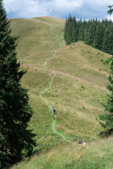 Elita alergării montane mondiale vine la Câmpulung Moldovenesc