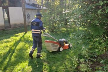 Program de cosire a spațiilor verzi de printre blocuri, în municipiul Suceava