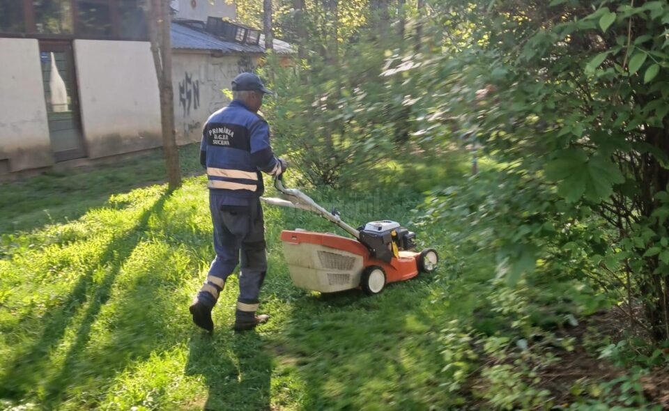 Program de cosire a spațiilor verzi de printre blocuri, în municipiul Suceava