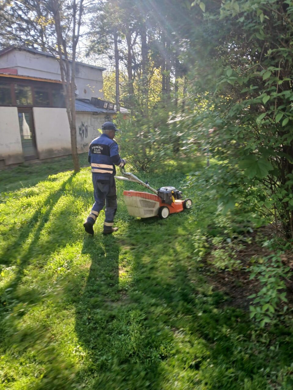 Primăria Municipiului Suceava demarează acțiunea de cosire a spațiilor verzi de printre blocuri