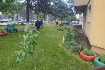 Lucrări de cosire a spațiilor verzi programate săptămâna viitoare în municipiul Suceava
