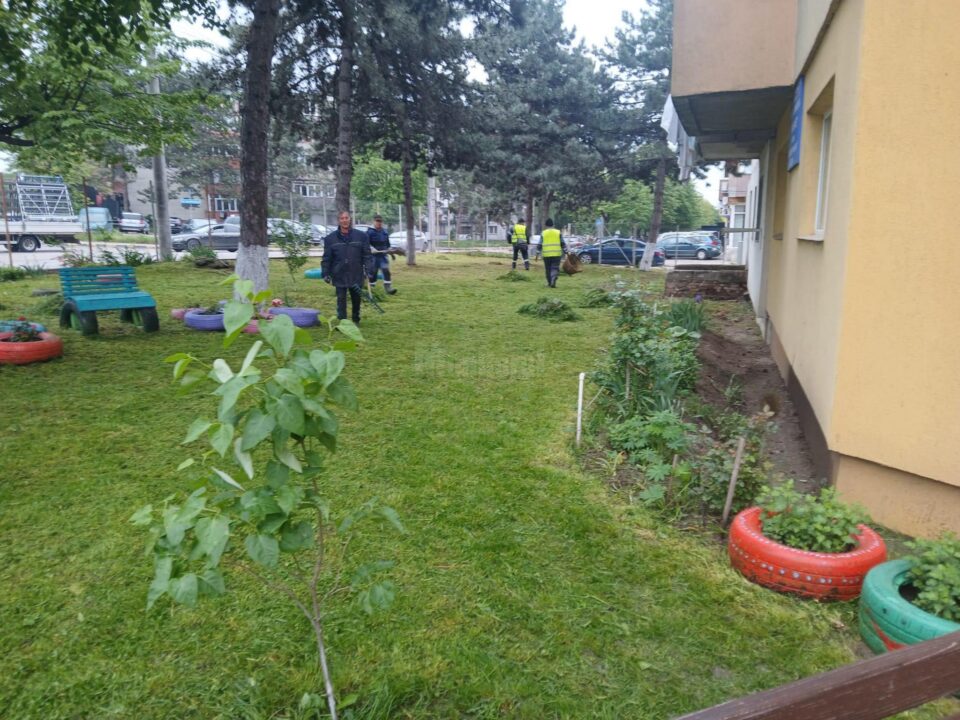 Lucrări de cosire a spațiilor verzi programate săptămâna viitoare în municipiul Suceava Lucrări de cosire a spațiilor verzi programate săptămâna viitoare în municipiul Suceava