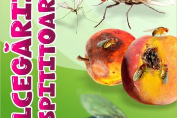 Lecția de muzeu „Dulcegării ispititoare”, la Muzeul de Științele Naturii