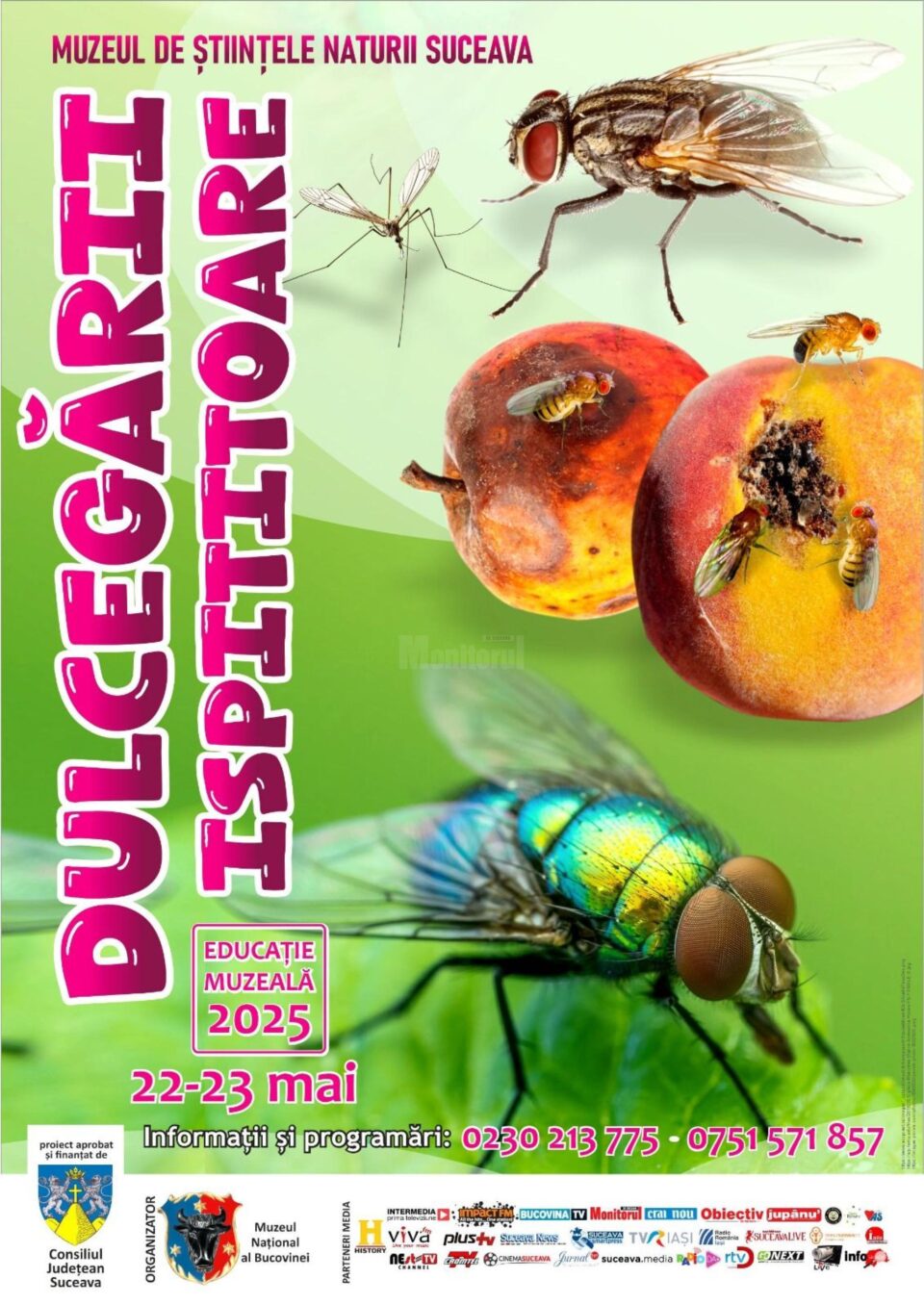 Lecția de muzeu „Dulcegării ispititoare”, la Muzeul de Științele Naturii