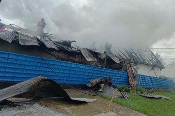 Incendiul de la Costișa