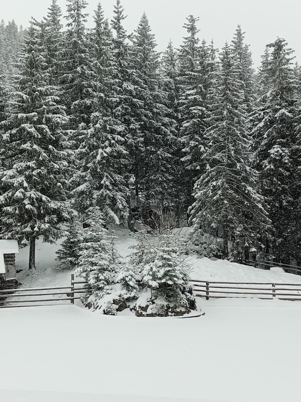 Iarna s-a reîntors în zonele montane din județul Suceava