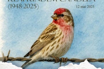„Reaprindem candela”: cinstirea martirilor care au pătimit în temnițele comuniste