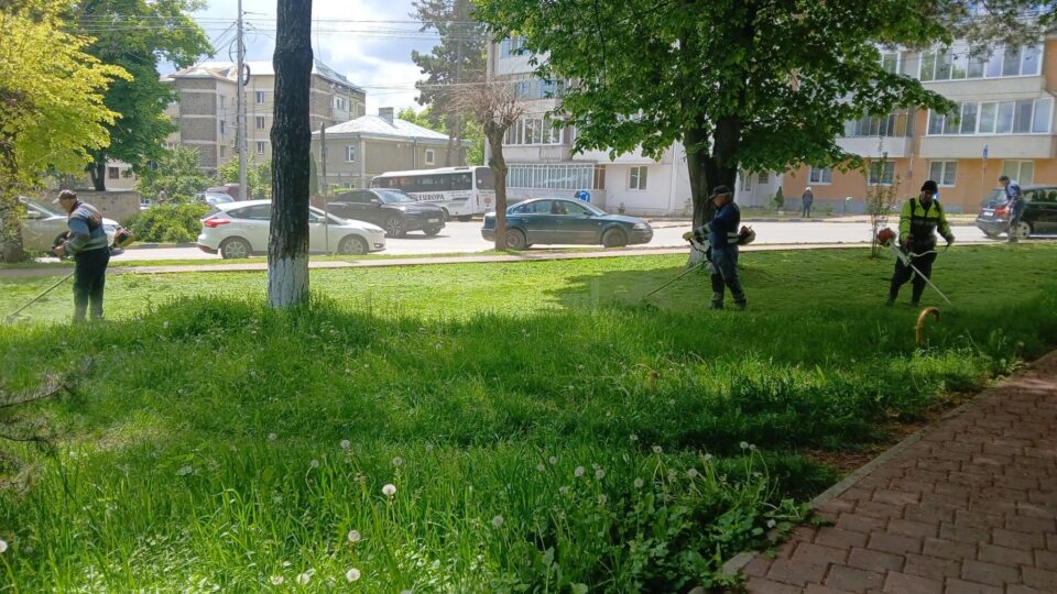 Program cosit spații verzi 19-23 mai