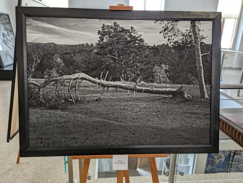 75 de lucrări realizate de 10 fotografi din România și 10 fotografi din China, expuse la Muzeul de Istorie