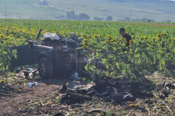 Cumplitul accident de la Cumpărătura