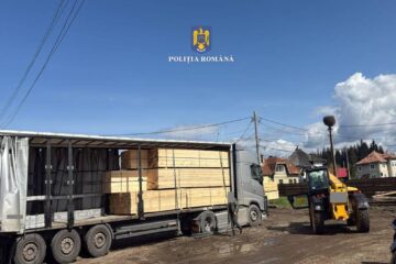 Patronul pensiunii ”Codrii Bucovinei” din Molid, depistat în trafic cu un transport ilegal de 50 mc de cherestea