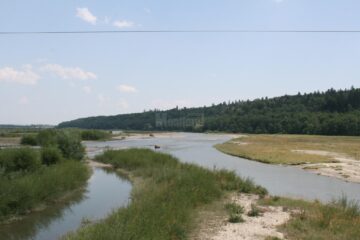 Bărbat mort după ce a fost luat de apele râului Moldova și dus doi kilometri