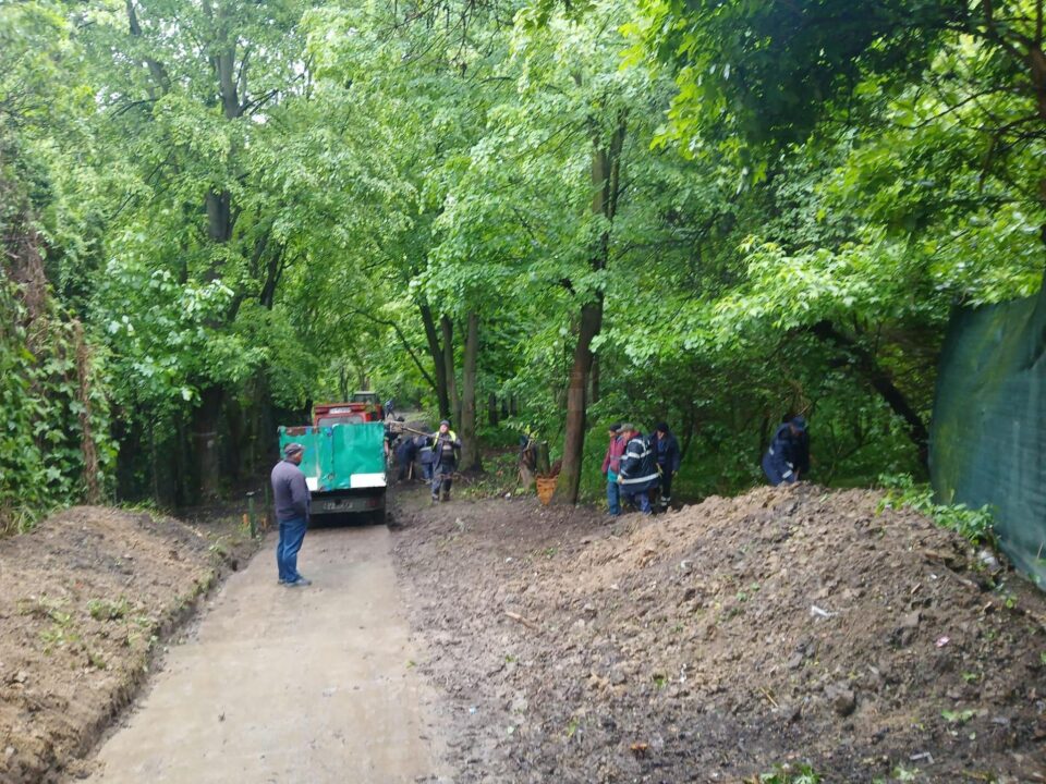 Cale de acces în Parcul Șipote, curățată și igienizată
