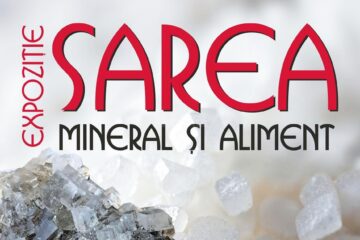 Expoziția „Sarea – mineral și aliment”