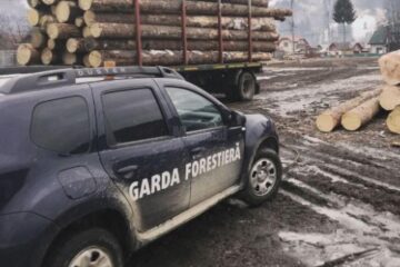 Amenzi și confiscări de peste 360.000 lei aplicate de Garda Forestieră Suceava în luna aprilie