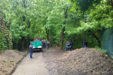 Cale de acces în Parcul Șipote, curățată și igienizată