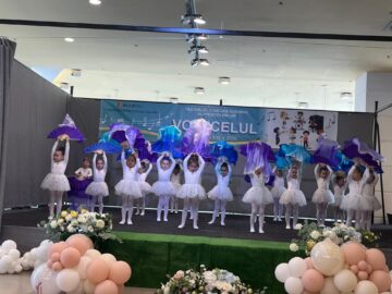 Festivalul Național „Voinicelul , la Iulius Mall Suceava