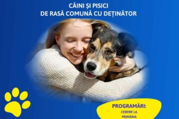 Campanie de sterilizări gratuite pentru 700 de animale de companie, în municipiul Suceava