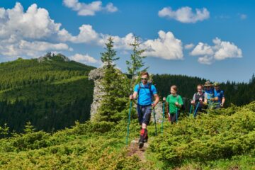 Asociația Țara Dornelor va amenaja șase izvoare din Parcul Național Călimani