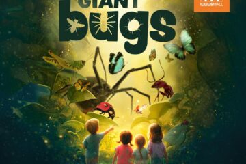 O călătorie fascinantă în lumea insectelor, la Iulius Mall Suceava