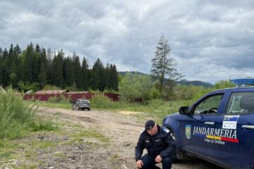 Femeie prinsă de jandarmi în timp ce târa un câine legat de mașină