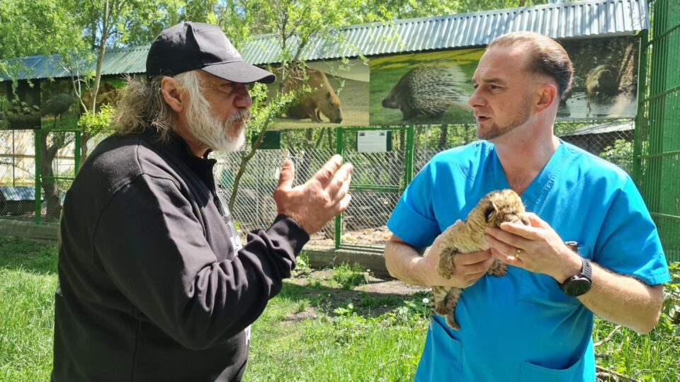 Medicul veterinar Gabriel Gașpar și Dorin Șoimaru cu puiul de ligru de la Zaharești