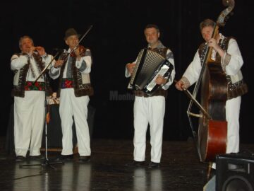Taraful în Franța 2005