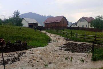 Ploile torențiale de astăzi au inundat o casă, două curți și un beci din comuna Dorna Candrenilor