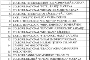 Școlile care vor face cursuri online
