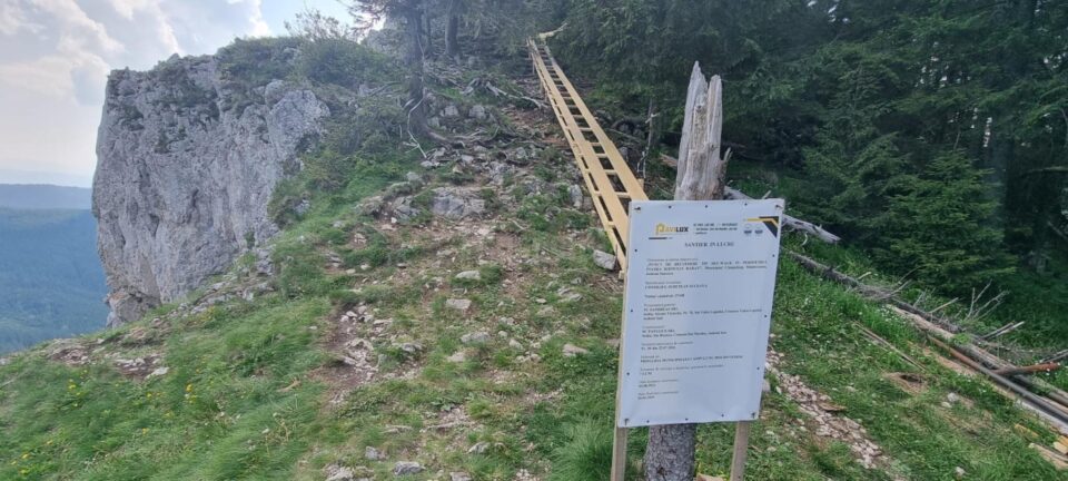 Situația din teren