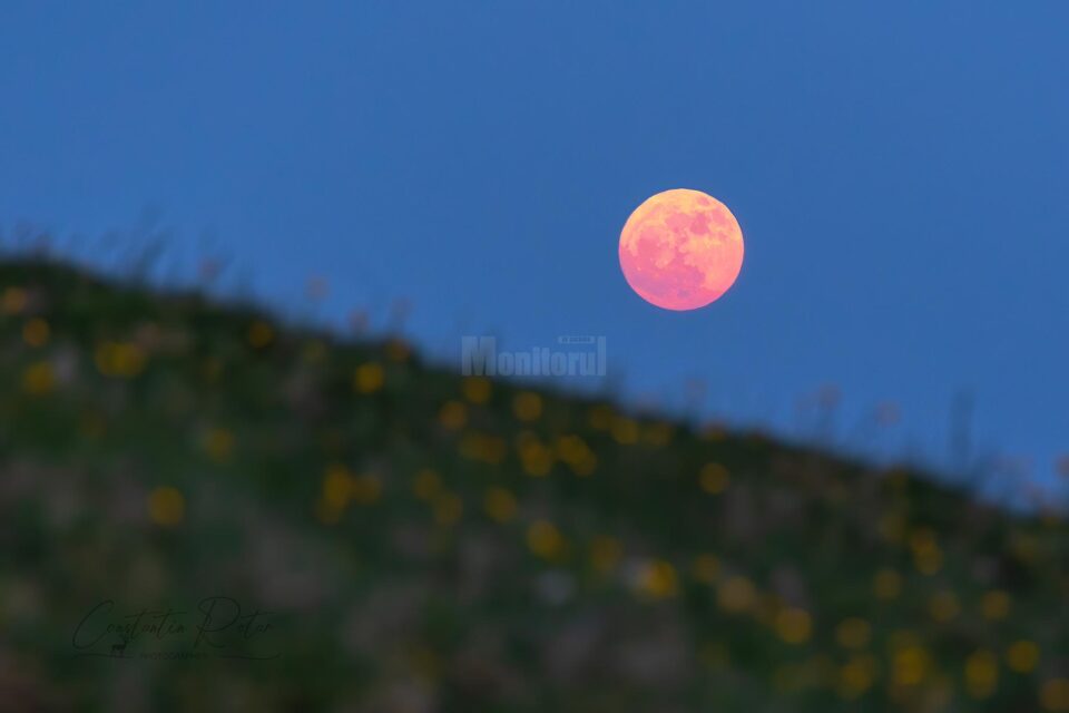 Luna Căpșună, un fenomen astronomic inedit, foarte spectaculos - foto Constantin Rotar