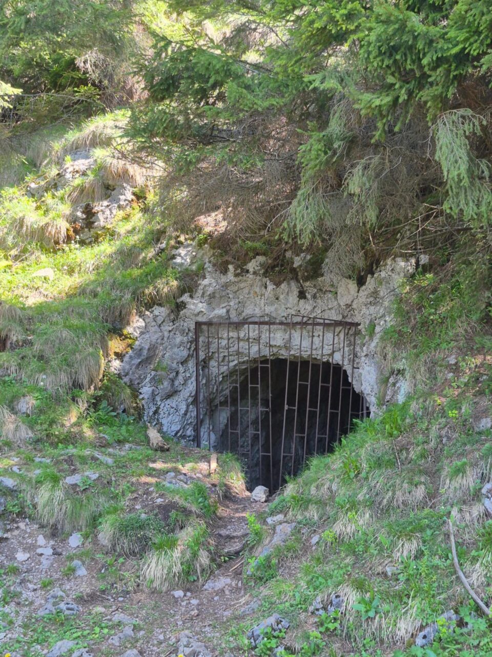 Intrarea în mina