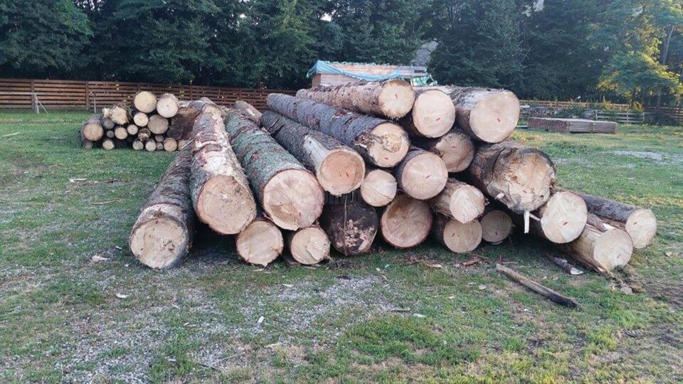Control judiciar pe cauțiune de peste 100.000 de euro, în dosarul afaceriștilor cu lemn în care a fost ridicat și un consilier județean din Suceava Control judiciar pe cauțiune de peste 100.000 de euro, în dosarul afaceriștilor cu lemn în care a fost ridicat și un consilier județean din Suceava